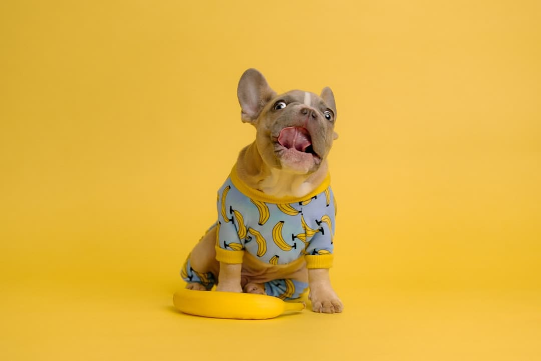 许玮甯生娃后复工 状态大好美丽依旧